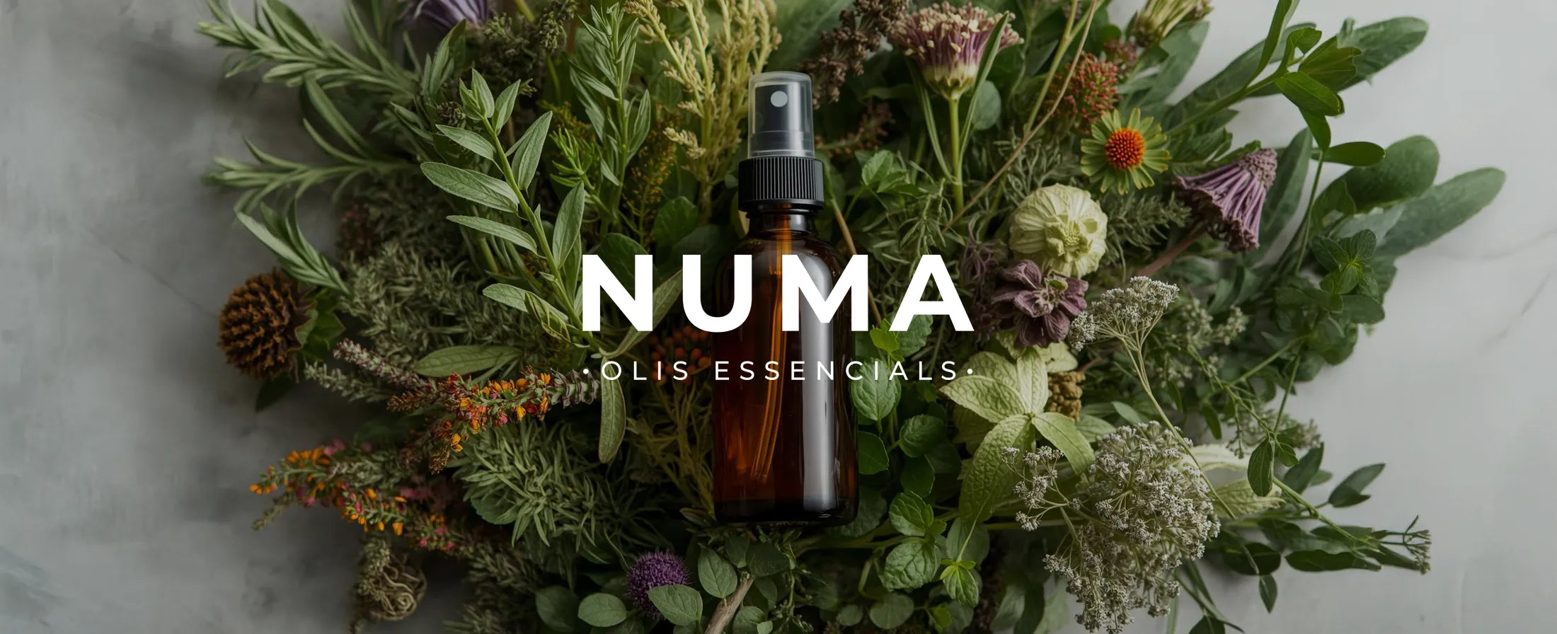 numa-olis-esencials-principal